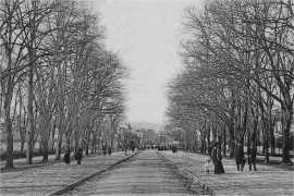 L'Avenue du Château en 1905