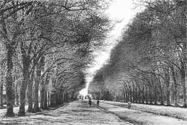 L'avenue du Château en 1946